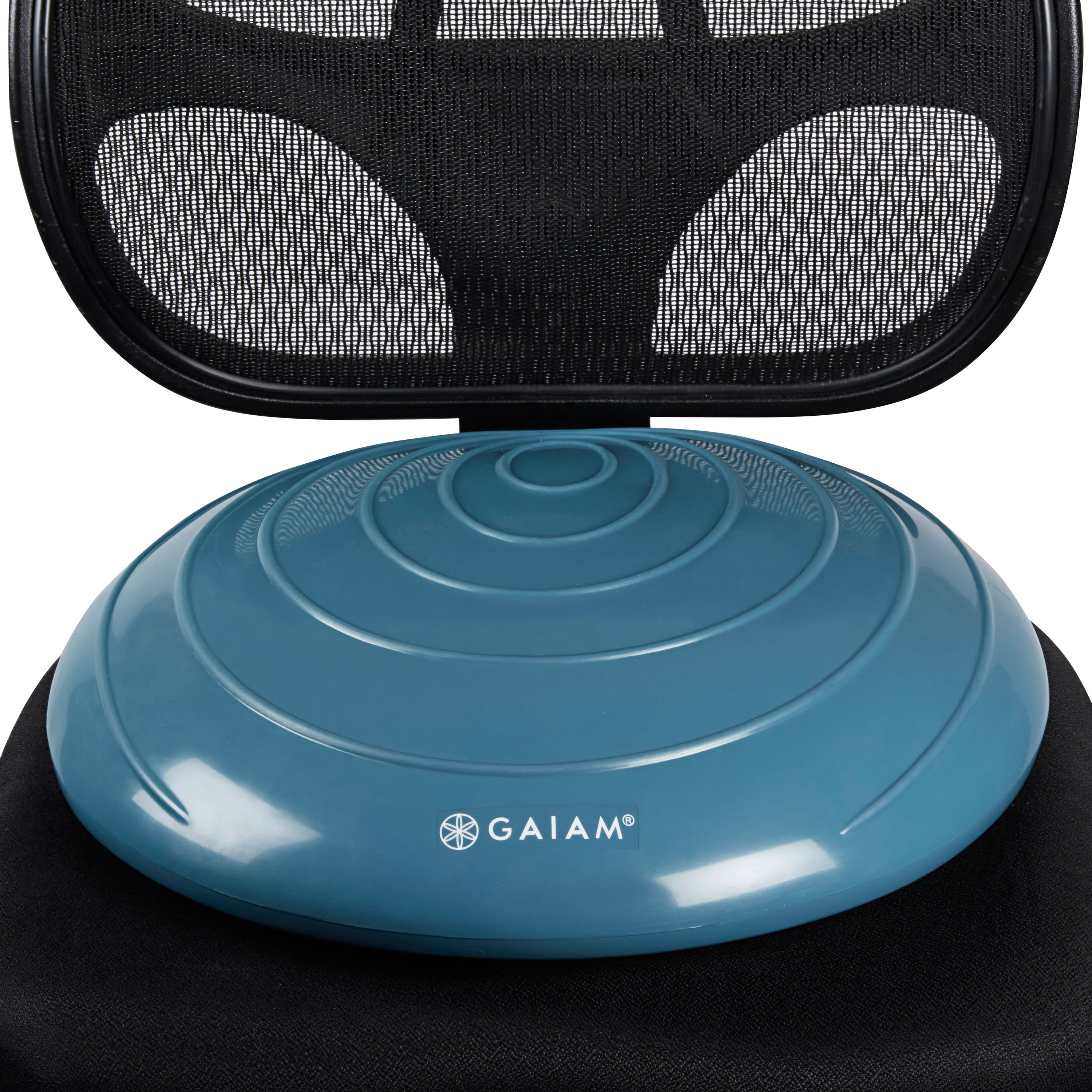 Balance Disc - Image 12
